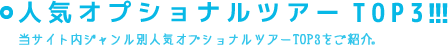 人気オプショナルツアーTOP3